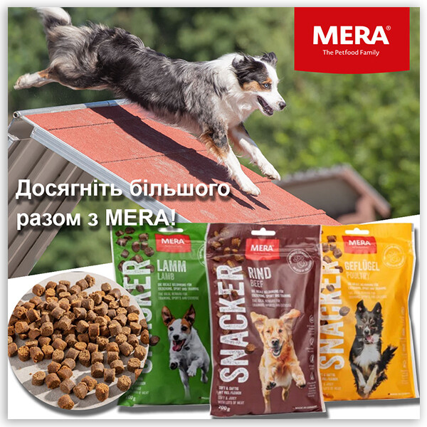 Новинка - смачні ласощі для тренувань фото