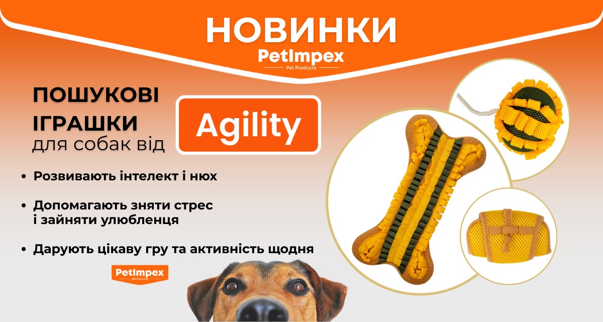Новинки - Поисковые игрушки